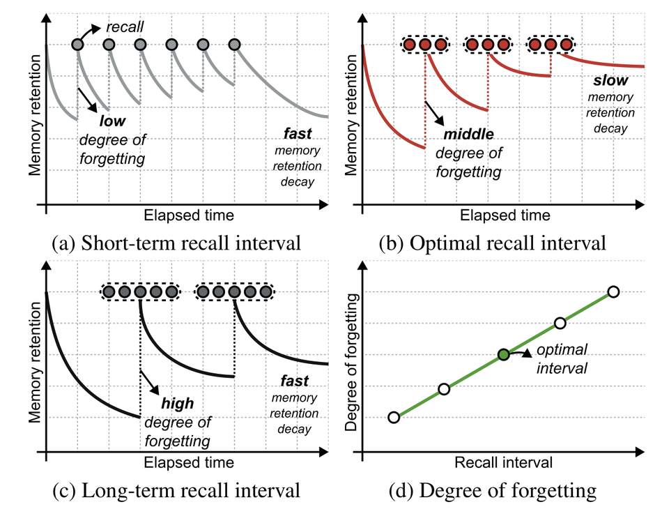 Forgetting curves for short-term, optimal, and long-term recall intervals